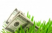 dta growing yield